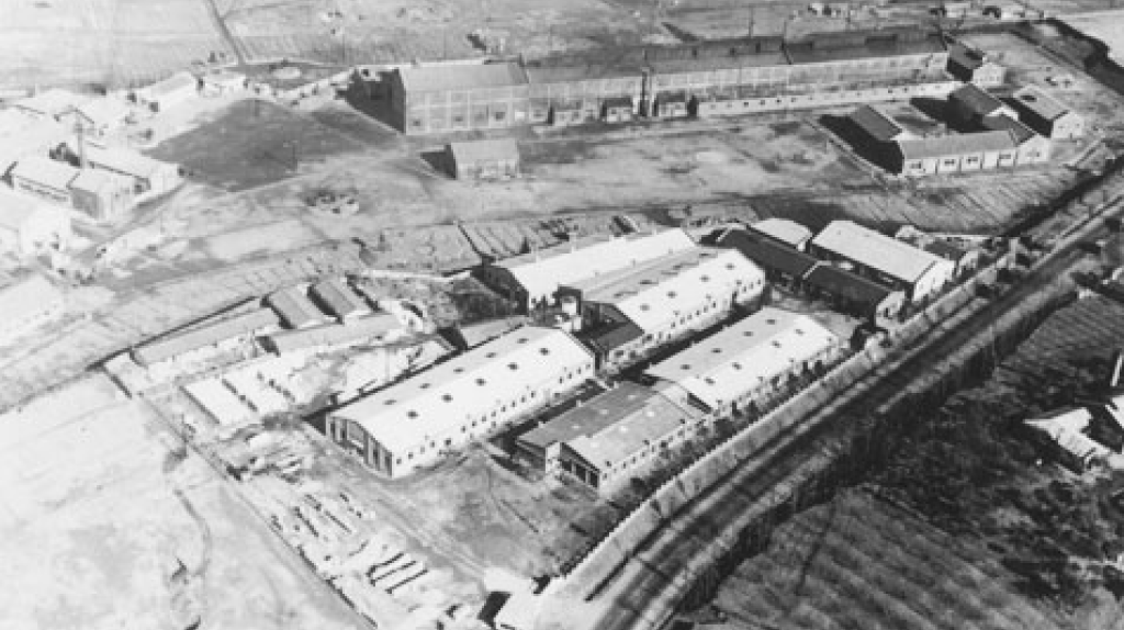 1955